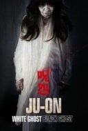 Layarkaca21 LK21 Dunia21 Nonton Film Ju-on: White Ghost (2009) Subtitle Indonesia Streaming Movie Download