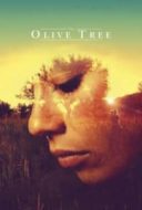 Layarkaca21 LK21 Dunia21 Nonton Film The Olive Tree (2016) Subtitle Indonesia Streaming Movie Download