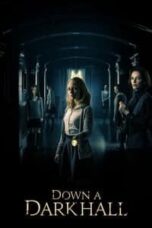 Poster Film Down a Dark Hall (2018)