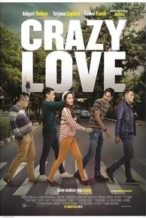 Nonton Film Crazy Love (2013) Subtitle Indonesia Streaming Movie Download