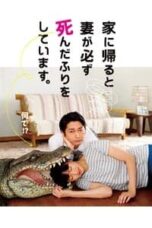 Poster Film When I Get Home, My Wife Always Pretends to Be Dead. (2018)