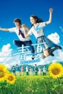 Layarkaca21 LK21 Dunia21 Nonton Film Ao-Natsu: Kimi ni Koi Shita 30-Nichi (2018) Subtitle Indonesia Streaming Movie Download