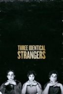 Layarkaca21 LK21 Dunia21 Nonton Film Three Identical Strangers (2018) Subtitle Indonesia Streaming Movie Download