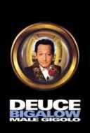 Layarkaca21 LK21 Dunia21 Nonton Film Deuce Bigalow: Male Gigolo (1999) Subtitle Indonesia Streaming Movie Download