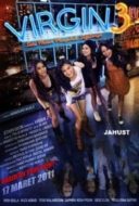 Layarkaca21 LK21 Dunia21 Nonton Film Virgin 3: Satu Malam Mengubah Segalanya (2011) Subtitle Indonesia Streaming Movie Download