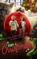 Layarkaca21 LK21 Dunia21 Nonton Film Tiny Christmas (2017) Subtitle Indonesia Streaming Movie Download