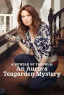 Layarkaca21 LK21 Dunia21 Nonton Film A Bundle of Trouble: An Aurora Teagarden Mystery (2017) Subtitle Indonesia Streaming Movie Download