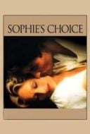 Layarkaca21 LK21 Dunia21 Nonton Film Sophie’s Choice (1982) Subtitle Indonesia Streaming Movie Download