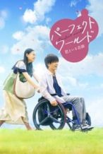 Nonton Film Perfect World (2018) Subtitle Indonesia Streaming Movie Download