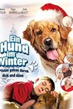 Christmas with Tucker (2014)