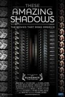 Layarkaca21 LK21 Dunia21 Nonton Film These Amazing Shadows (2011) Subtitle Indonesia Streaming Movie Download