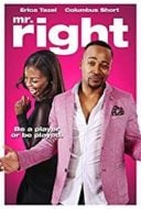 Layarkaca21 LK21 Dunia21 Nonton Film Mr. Right (2015) Subtitle Indonesia Streaming Movie Download