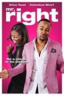 Layarkaca21 LK21 Dunia21 Nonton Film Mr. Right (2015) Subtitle Indonesia Streaming Movie Download