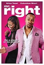 Nonton Film Mr. Right (2015) Subtitle Indonesia Streaming Movie Download