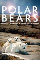 Layarkaca21 LK21 Dunia21 Nonton Film Polar Bears: A Summer Odyssey (2012) Subtitle Indonesia Streaming Movie Download