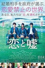 Poster Film Love And Lies (2017)
