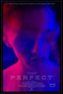 Layarkaca21 LK21 Dunia21 Nonton Film Perfect (2018) Subtitle Indonesia Streaming Movie Download