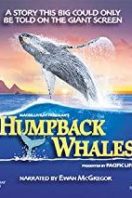 Layarkaca21 LK21 Dunia21 Nonton Film Humpback Whales (2015) Subtitle Indonesia Streaming Movie Download