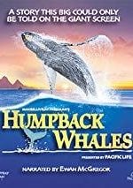 Humpback Whales (2015)