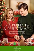 Nonton Film A Perfect Christmas (2016) Subtitle Indonesia Streaming Movie Download