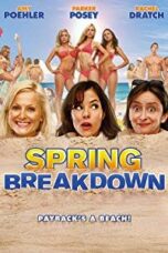 Poster Film Spring Breakdown (2009)