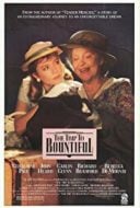 Layarkaca21 LK21 Dunia21 Nonton Film The Trip to Bountiful (1985) Subtitle Indonesia Streaming Movie Download