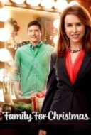 Layarkaca21 LK21 Dunia21 Nonton Film Family for Christmas (2015) Subtitle Indonesia Streaming Movie Download