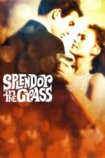 Poster Film Splendor in the Grass (1961)
