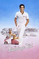 The Flamingo Kid (1984)