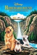 Layarkaca21 LK21 Dunia21 Nonton Film Homeward Bound: The Incredible Journey (1993) Subtitle Indonesia Streaming Movie Download