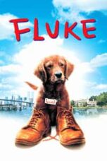 Poster Film Fluke (1995)