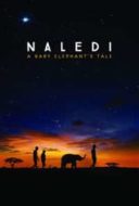 Layarkaca21 LK21 Dunia21 Nonton Film Naledi: A Baby Elephant’s Tale (2016) Subtitle Indonesia Streaming Movie Download