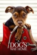 Layarkaca21 LK21 Dunia21 Nonton Film A Dog’s Way Home (2019) Subtitle Indonesia Streaming Movie Download