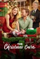 Layarkaca21 LK21 Dunia21 Nonton Film The Christmas Cure (2017) Subtitle Indonesia Streaming Movie Download