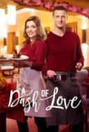 Layarkaca21 LK21 Dunia21 Nonton Film A Dash of Love (2017) Subtitle Indonesia Streaming Movie Download