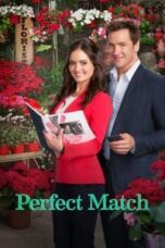 Poster Film Perfect Match (2015)