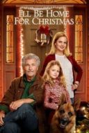 Layarkaca21 LK21 Dunia21 Nonton Film I’ll Be Home for Christmas (2016) Subtitle Indonesia Streaming Movie Download