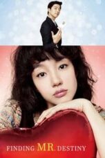 Poster Film Finding Mr. Destiny (2010)