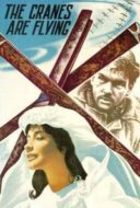 Layarkaca21 LK21 Dunia21 Nonton Film The Cranes Are Flying (1957) Subtitle Indonesia Streaming Movie Download