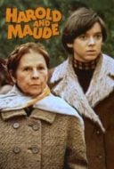 Layarkaca21 LK21 Dunia21 Nonton Film Harold and Maude (1971) Subtitle Indonesia Streaming Movie Download