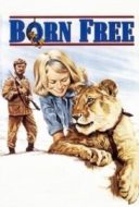 Layarkaca21 LK21 Dunia21 Nonton Film Born Free (1966) Subtitle Indonesia Streaming Movie Download