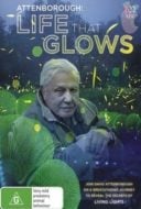 Layarkaca21 LK21 Dunia21 Nonton Film Attenborough’s Life That Glows (2016) Subtitle Indonesia Streaming Movie Download