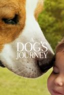 Layarkaca21 LK21 Dunia21 Nonton Film A Dog’s Journey (2019) Subtitle Indonesia Streaming Movie Download