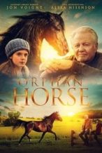 Nonton Film Orphan Horse (2018) Subtitle Indonesia Streaming Movie Download