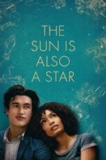 Poster Film The Sun Is Also a Star (2019)