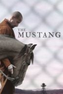 Layarkaca21 LK21 Dunia21 Nonton Film The Mustang (2019) Subtitle Indonesia Streaming Movie Download