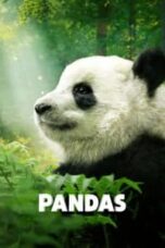 Poster Film Pandas (2018)