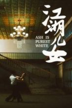 Nonton Film Ash Is Purest White (2018) Subtitle Indonesia Streaming Movie Download