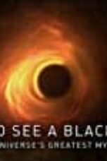 Poster Film How to See a Black Hole: The Universe’s Greatest Mystery (2019)