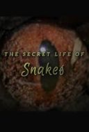 Layarkaca21 LK21 Dunia21 Nonton Film The Secret Life of Snakes (2016) Subtitle Indonesia Streaming Movie Download